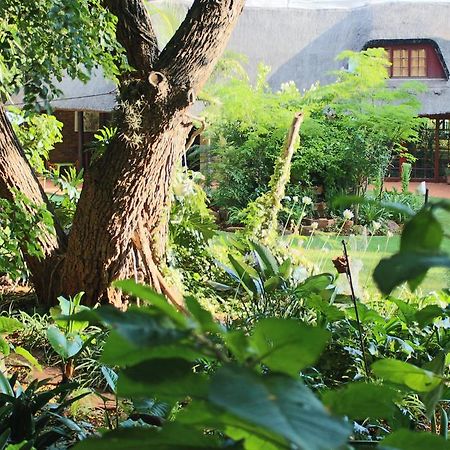 Foreigners Friend Guest House Pretoria-Noord Buitenkant foto